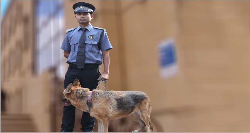 Tailormade Security Services